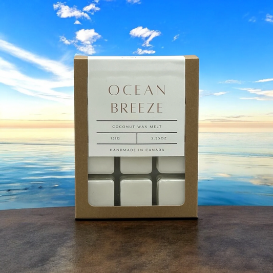 Ocean Breeze - Wax Melt